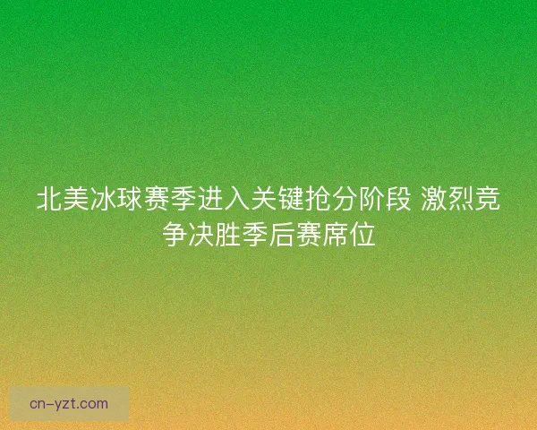 北美冰球赛季进入关键抢分阶段 激烈竞争决胜季后赛席位